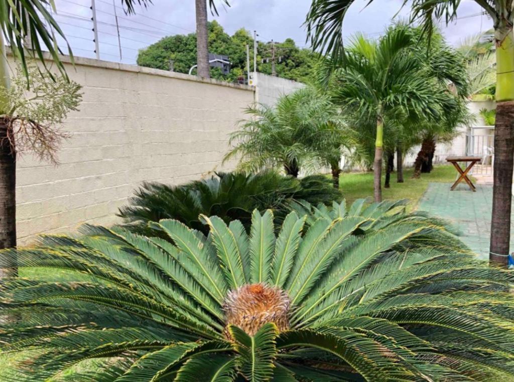 Apt2 Piscina Netflix Wifi Ar Cond Prox A 2 Shoppigns Fortaleza  Exteriér fotografie